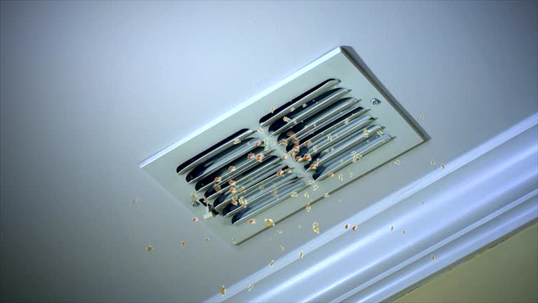 Best Home Air Vent Cleaning  in Geneva, OH